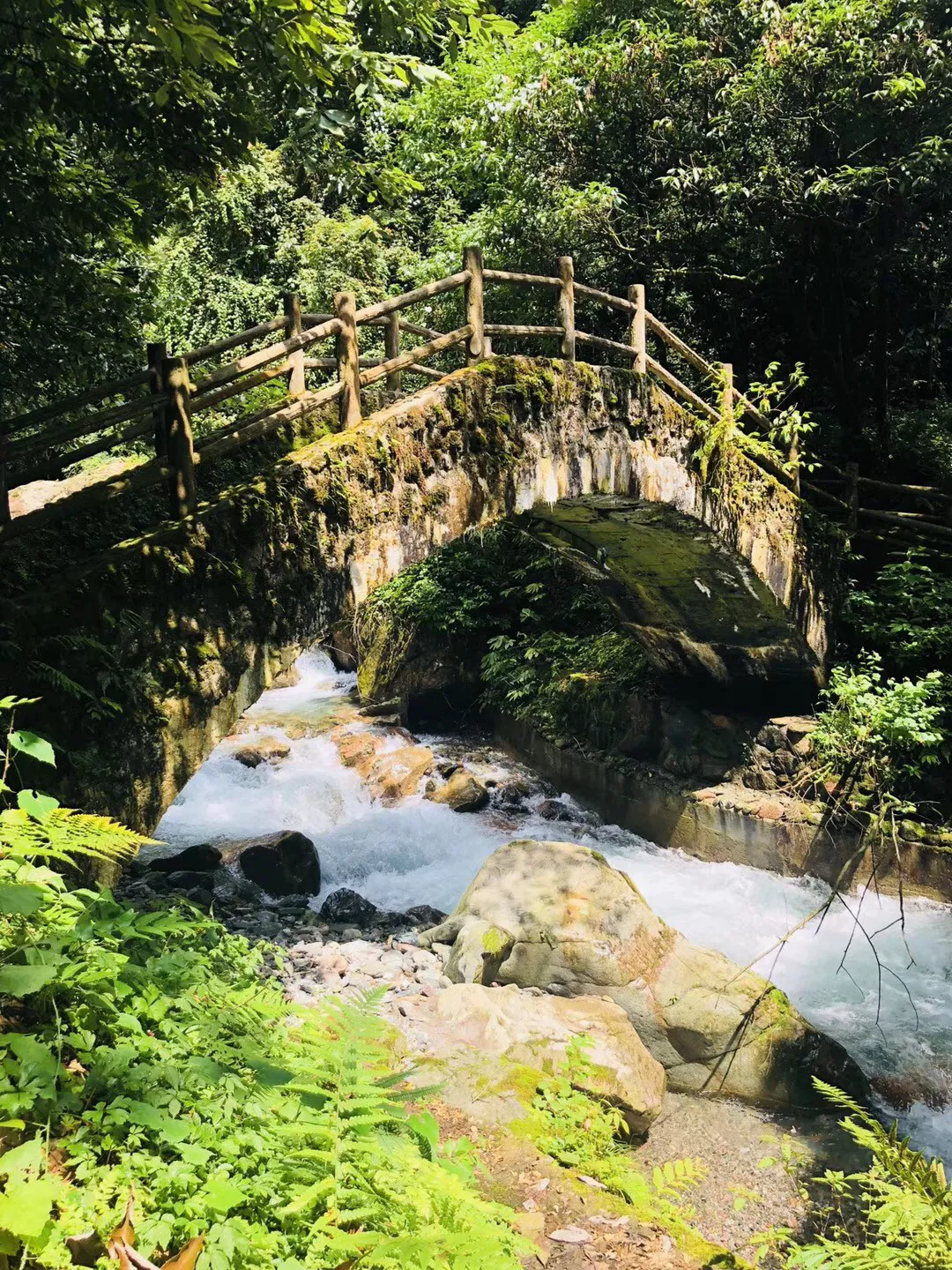求生指南：第三人称